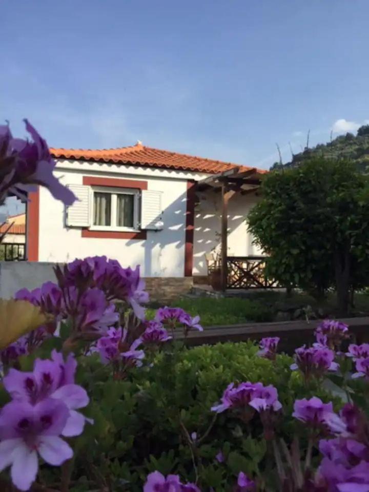 Christina Apartment Agios Konstantinos  Exterior photo